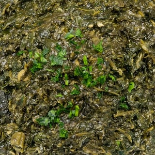 Spinach